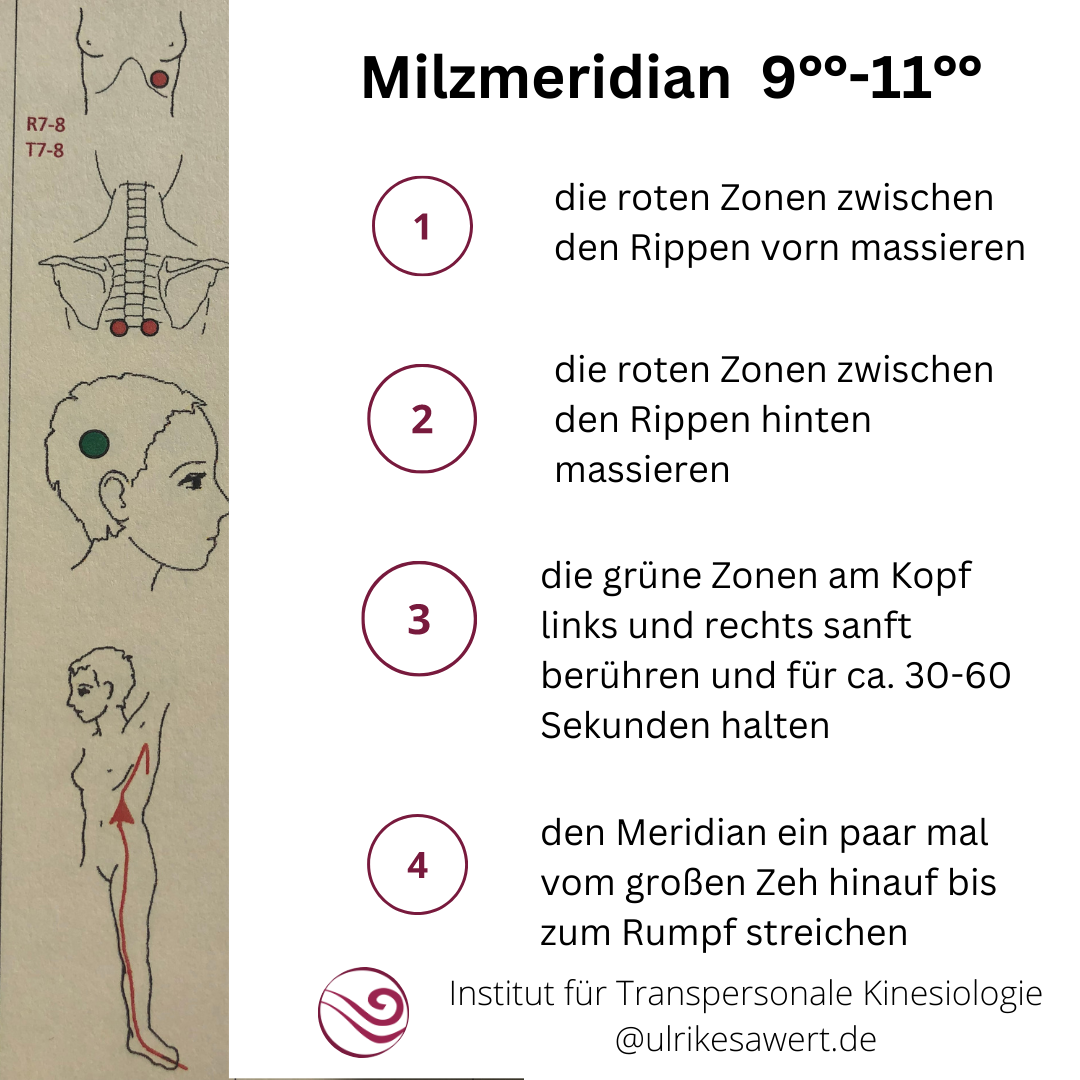 Kinesiologie Ausbildung Zielsetzung