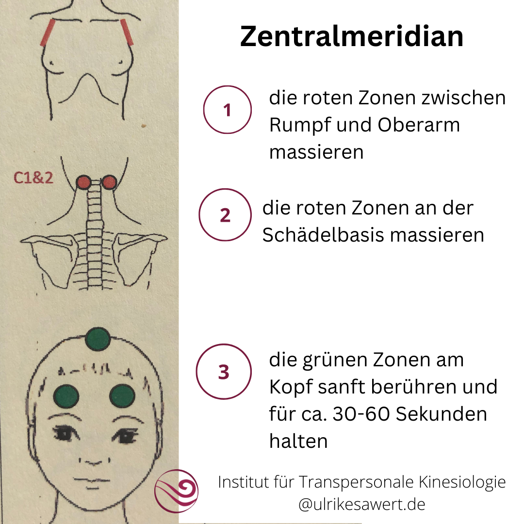 Kinesiologie Ausbildung Zielsetzung